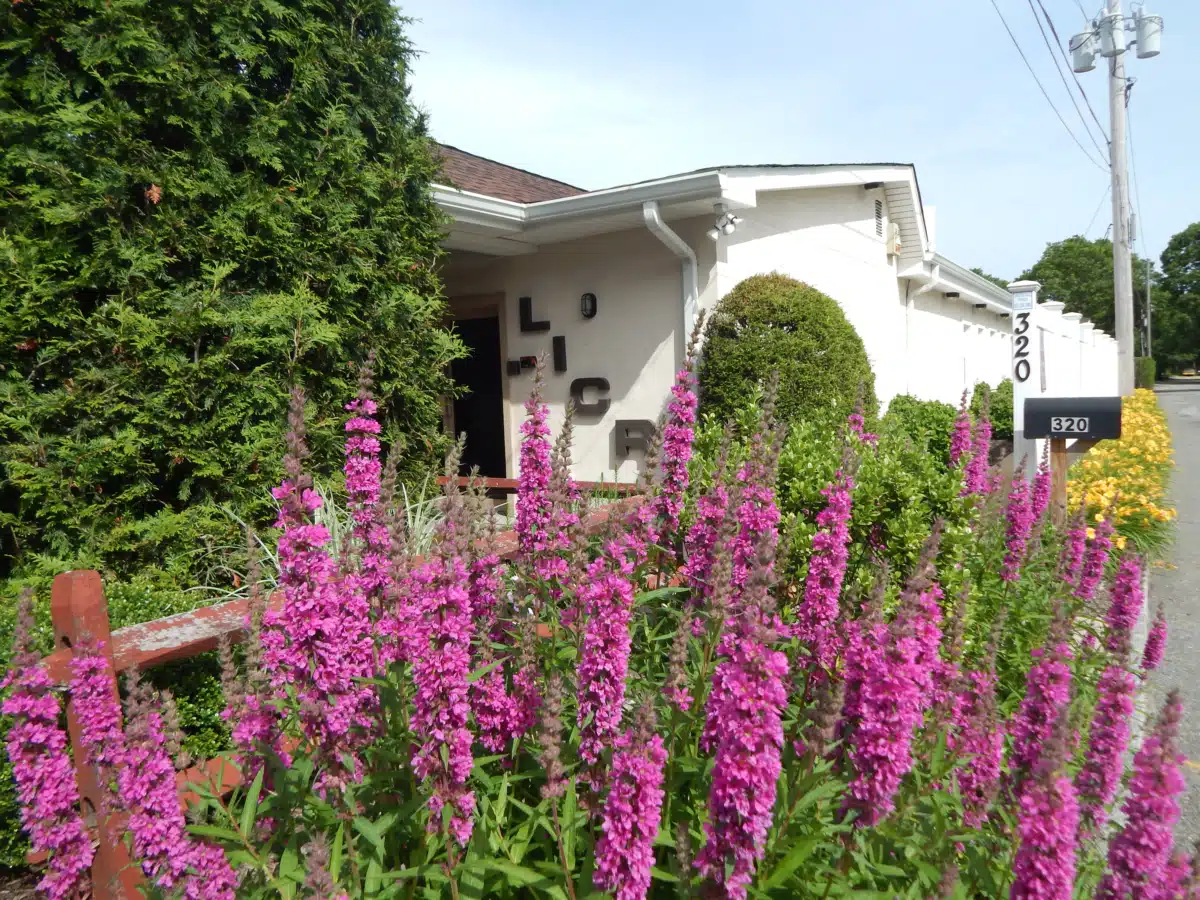 Long Island Center for Recovery Inc