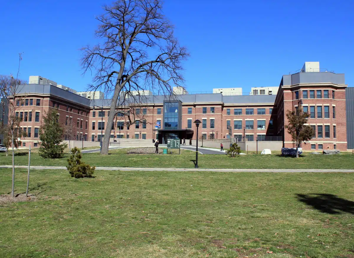 Odyssey Wards Island SRR 1